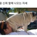 뷰티드림성형외과 이미지