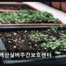(주)백산종합관리 | [부산 주간보호센터/추천/후가/가격] 백산실버주간보호센터 가족 같은 돌봄으로 마음을 채운다