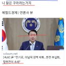 윤석열, 시작도 안한 탈원전때문이라고 개멍멍이 소리를 이미지