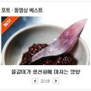 여우네횟집