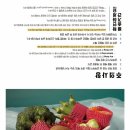 파핑파우 이미지