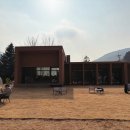 길 위의 시선 유기동물의 계절 | MZ세대 취향 저격! 투명 돔 텐트와 비주얼 디저트가 있는 카페 사유색 솔직 후기