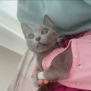 옥포태양동물병원 이미지