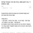 환자들 이런걸로 간호사들 부르는 콜벨 눌렀다 하는 거 말해보는 달글 캡쳐 이미지