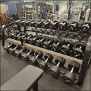 스페셜 바디 이미지