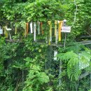 부흥정미소 이미지