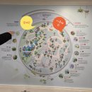 연꽃향기작은도서관 | 은행나무어린이도서관 식물탐험대원들과 서울식물원 열대관에서 배운 수련과 연꽃 이야기