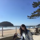 네일뉴이 - 안양시 만안구 | 종강로그..시이작