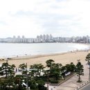 망미중앙시장 이미지