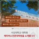 서강대학교 메타버스전문대학원 | [서강대백서] 서강대 메타버스전문대학원에 대해 알아보자!