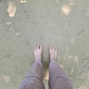 흙과나무의파도소리 이미지