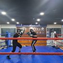 분당W복싱센터 이미지