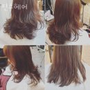 진스헤어 네이버블로그