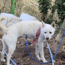 푸른가축병원 이미지