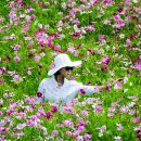 서운체육공원 이미지