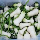 청천농장 이미지