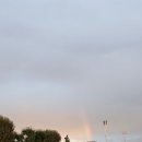 무지개 리봉 이미지