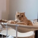 베베그루밍 이미지