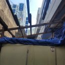 괴정동물병원 이미지