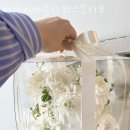 비바비버플라워스튜디오
