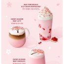 체리블라썸 이미지