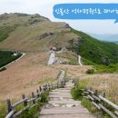 청춘불고기 이미지