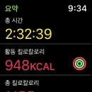 (주)왕왕 이미지