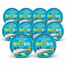 참치플러스 쇼핑하우