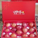 하늘녘싱싱팜 이미지