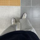 H8613 네이버블로그
