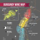 비앙브뉘 이미지