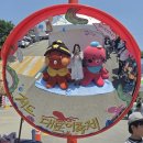 고성 가볼만한곳, 바다 축제 : 저도 대문어축제 후기