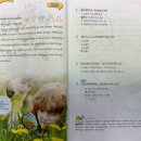 2관록키영어학원 - 11570 | 과천영어학원 할할당학원 2관 리딩 수업 후기