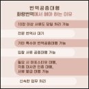 일산 번역공증대행 이용 후기, 해외 유학 서류를 빠르고 꼼꼼하게 준비한 화랑번역 일산지점 경험담