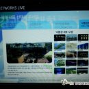 하단동1042 이미지