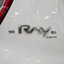 능곡동정우빌딩 | 💐 2026.03 | 3월 사진첩엔 꽃 사진이 가득해