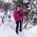 덕윤사 Daum카페