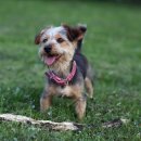 마스터 동물의료센터 이미지