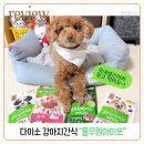 토리덴탈 | 다이소 강아지간식 풀무원아미오 덴탈껌 육포 내돈내산후기