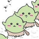 이프로 이미지