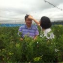 장명농장 이미지