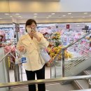 [하루일기] 어쩌다 매일 루틴이 생겨버린 나의 하루