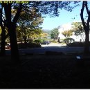 대구공산초등학교 Daum카페