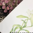 보태니컬 아트 전문가 이미지