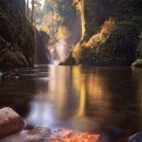 숲속풍경 이미지