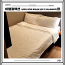 에이(A)호텔 | 상하이 가성비 숙소 이텔컬렉션 상하이 루지아 파이낸셜 센터 더 넥스트에이지점 더블룸A 후기