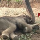 우치농장 이미지