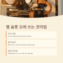 슬롯랜드 이미지