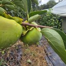 반월농장 이미지