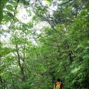 여덟개의 암봉 그리고 깊은 산성골계곡, 경북 영덕 팔각산 (2015. 8. 9) 이미지